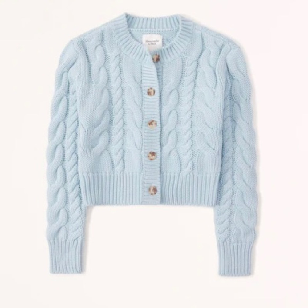 Abercrombie Blue Chunky Cardigan